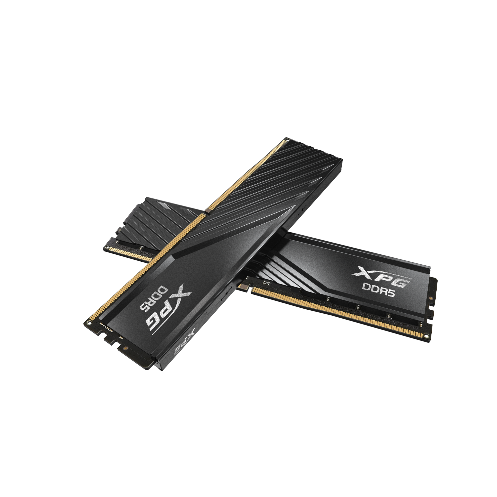 DIMM 32 GB DDR5-5600 (1x 32 GB), Arbeitsspeicher