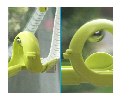 Gecko Run - Looping, Kugelbahn