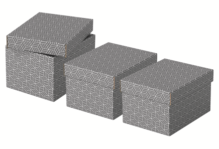 Esselte Home Aufbewahrungsboxen 6,5 l grau 20,0 x 25,5 x 15,0 cm, 3 St.