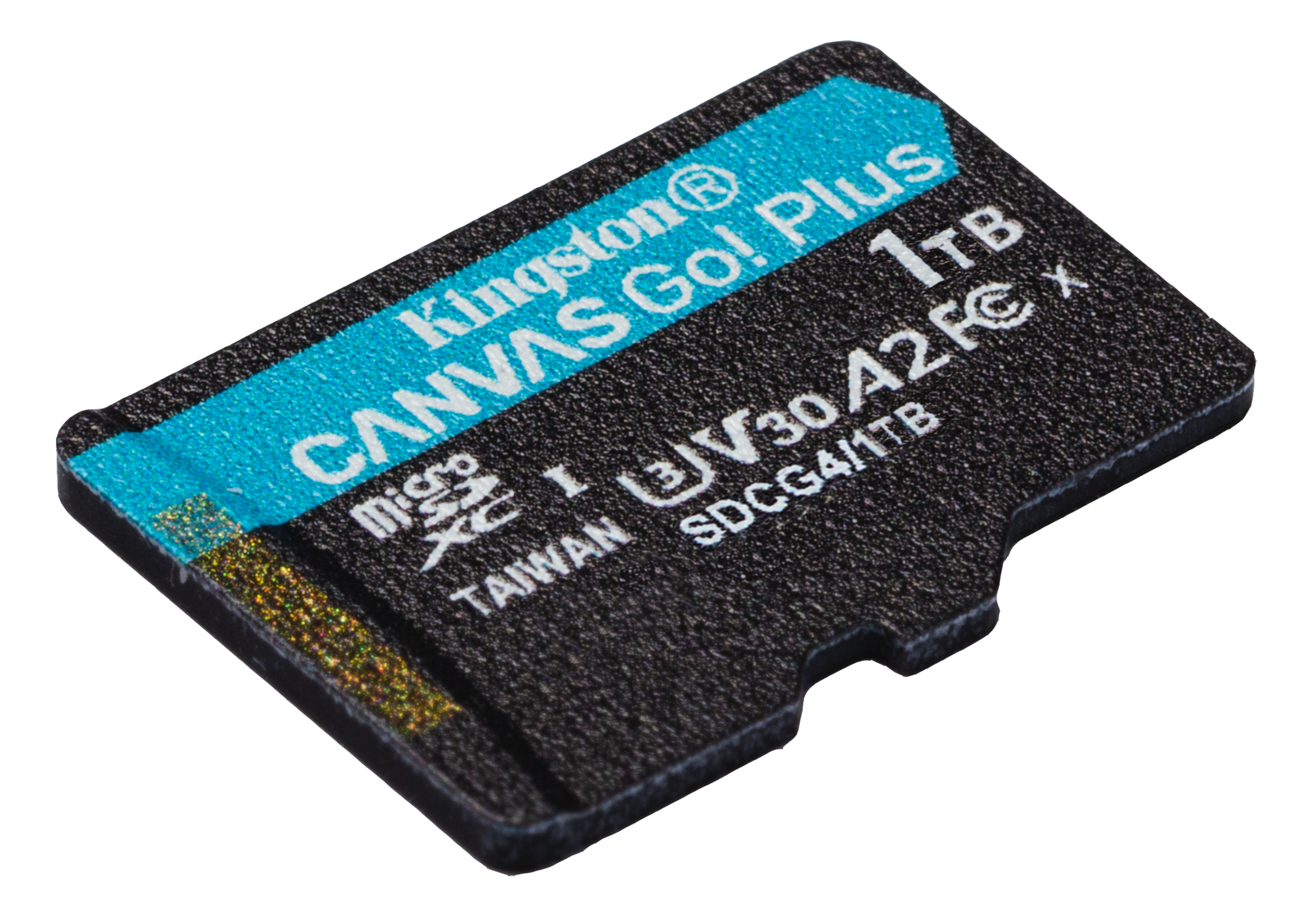 Canvas Go! Plus 1 TB microSDXC, Speicherkarte