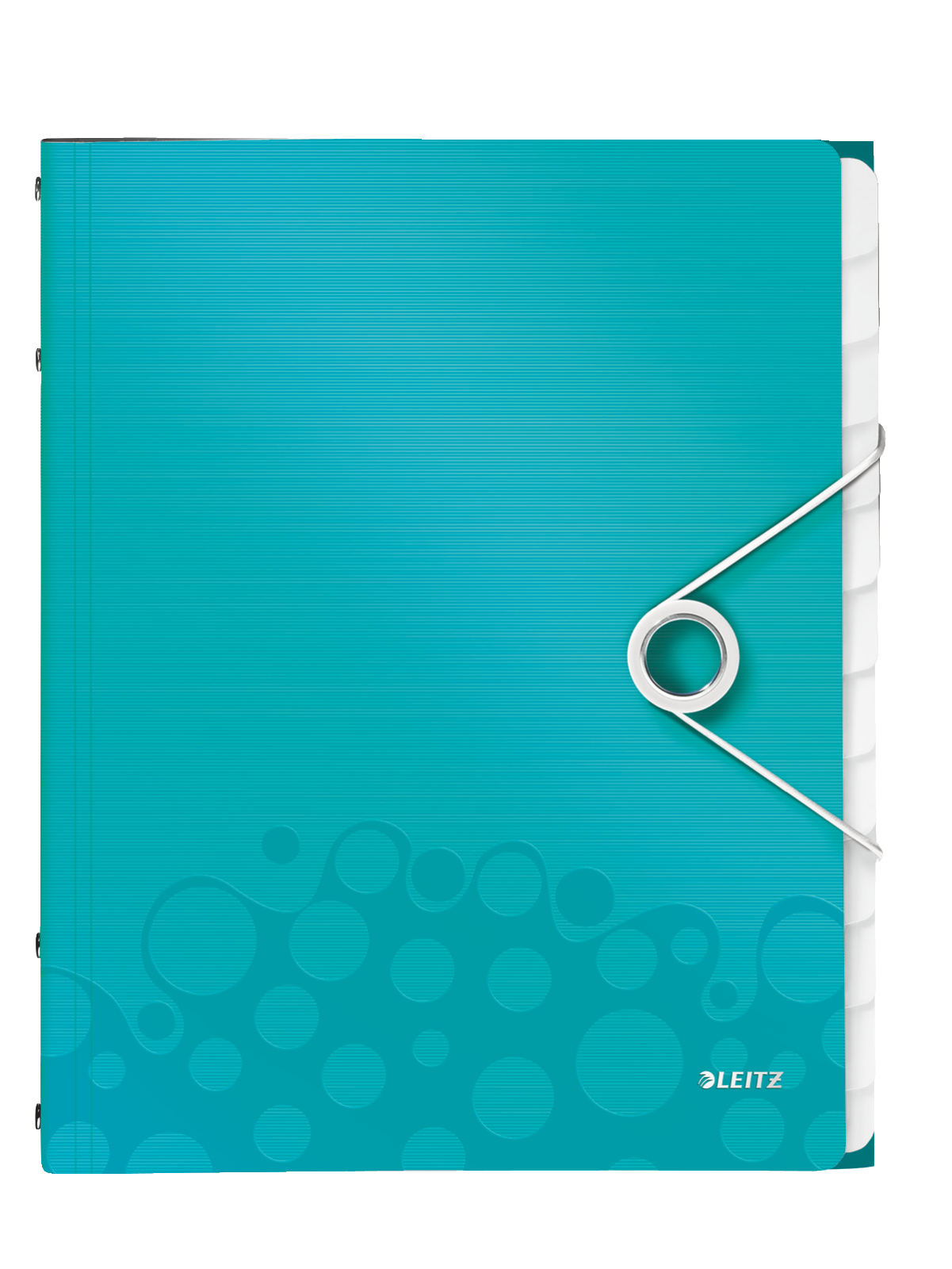LEITZ Ordnungsmappe WOW 4634 12 Fächer blau, 1 St.