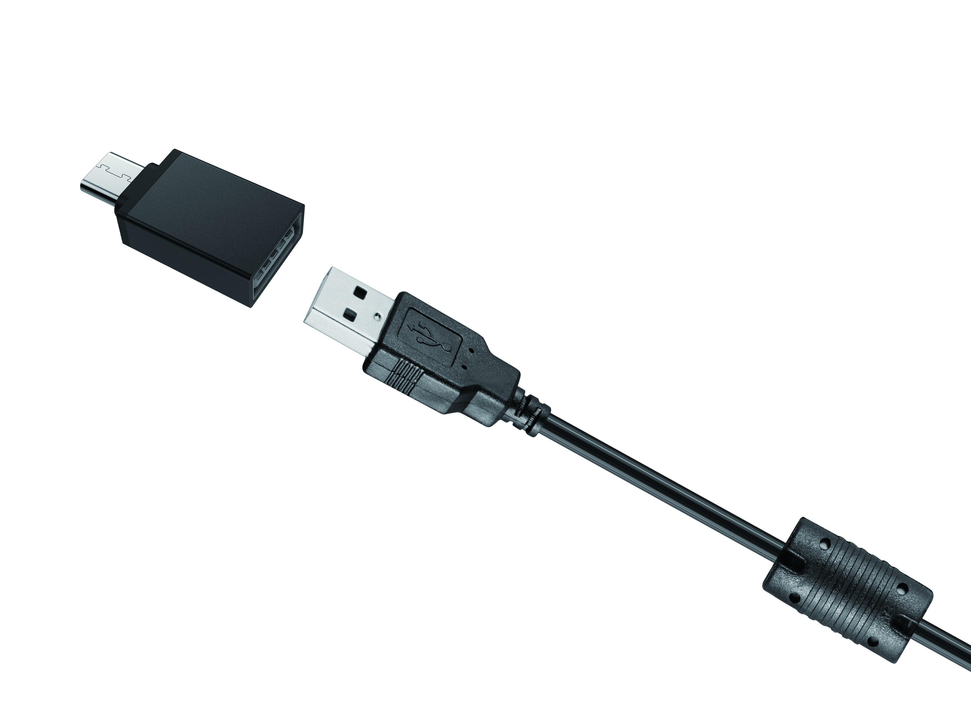 CONCEPTRONIC Webcam USB-A2.0/-C 120°4K/30Hz UltraHD+Mikro sw