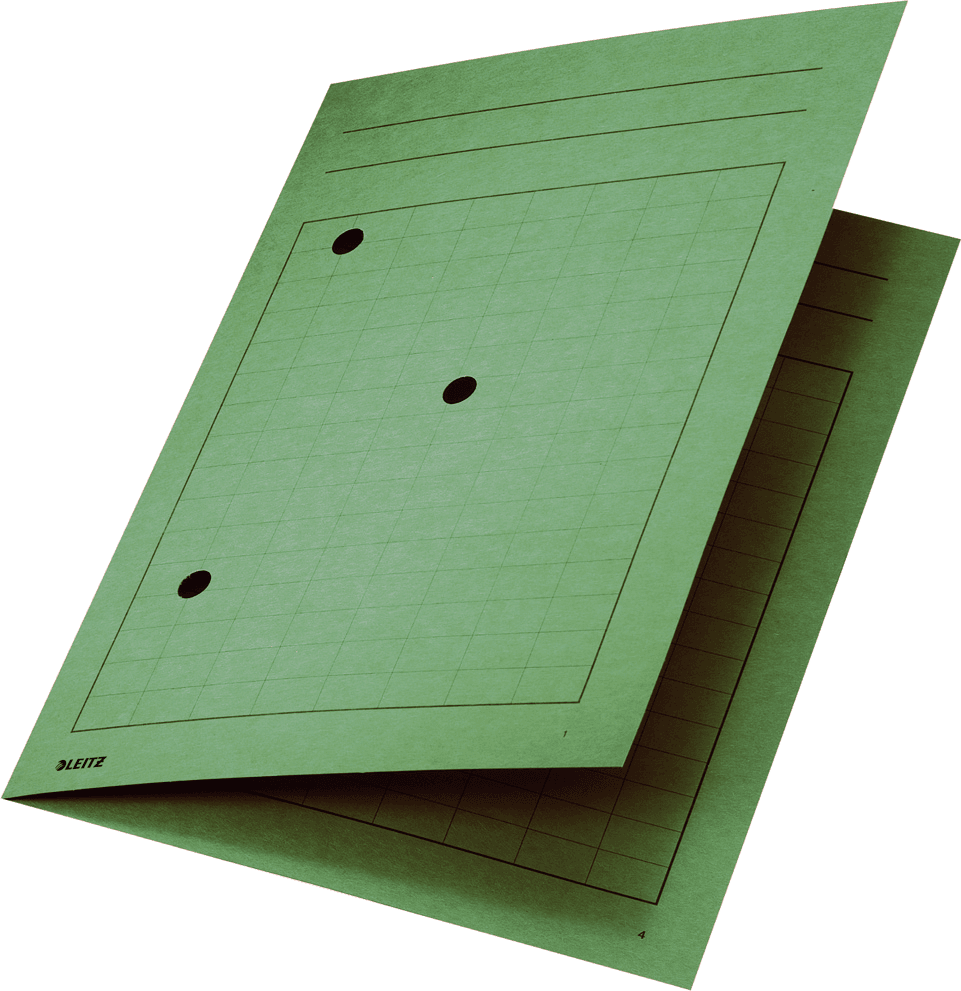 LEITZ Aktendeckel 3998 DIN A4 grün, 1 St.