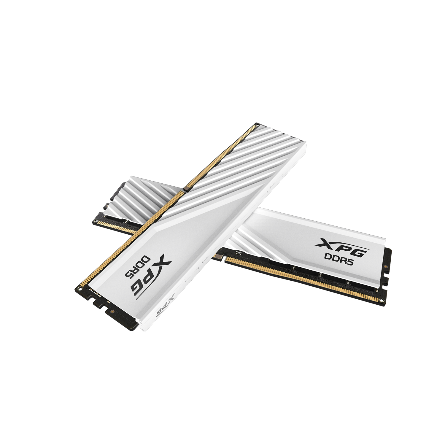 DIMM 16 GB DDR5-6400 , Arbeitsspeicher