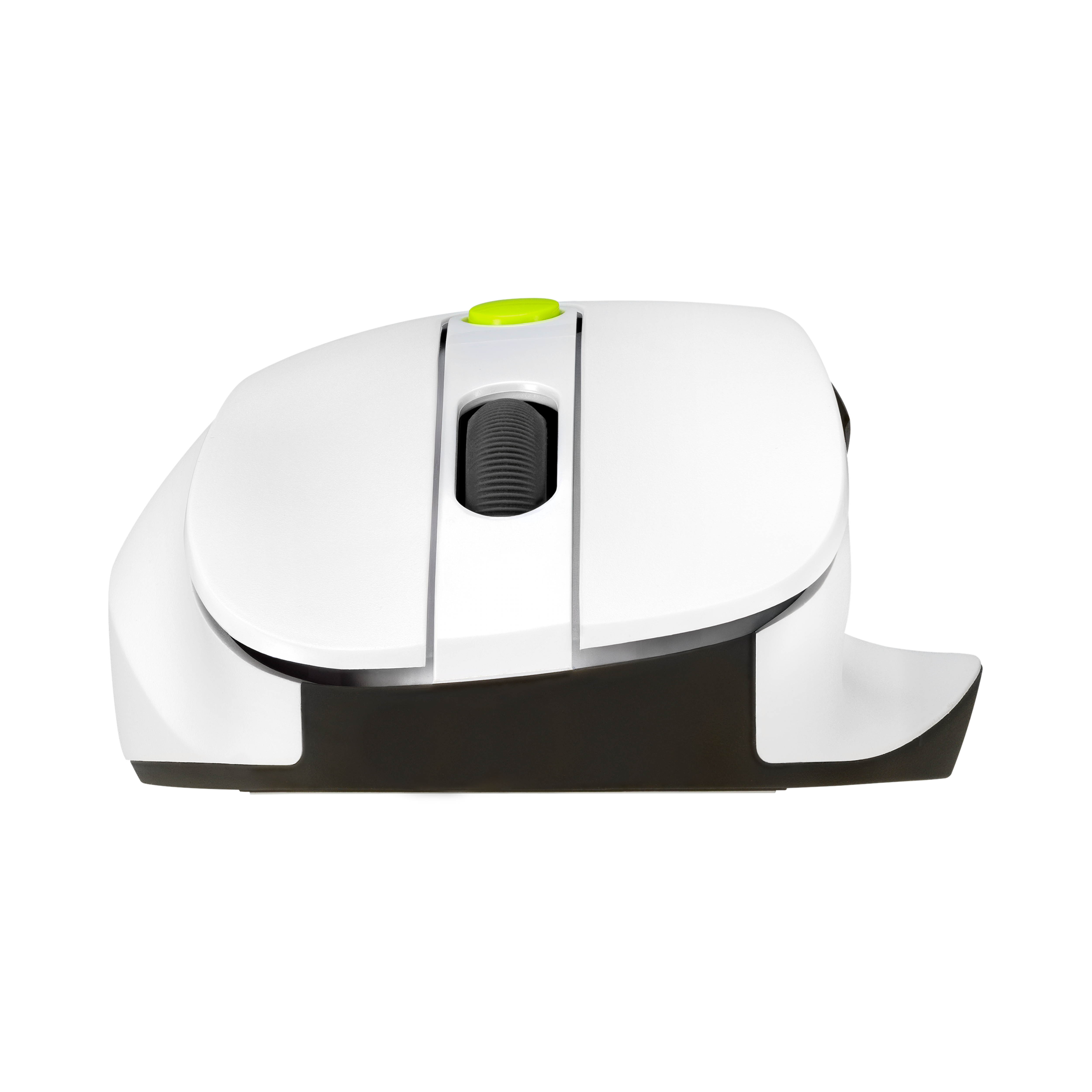 ASUS MD105 Maus wireless 2400dpi Volt Green