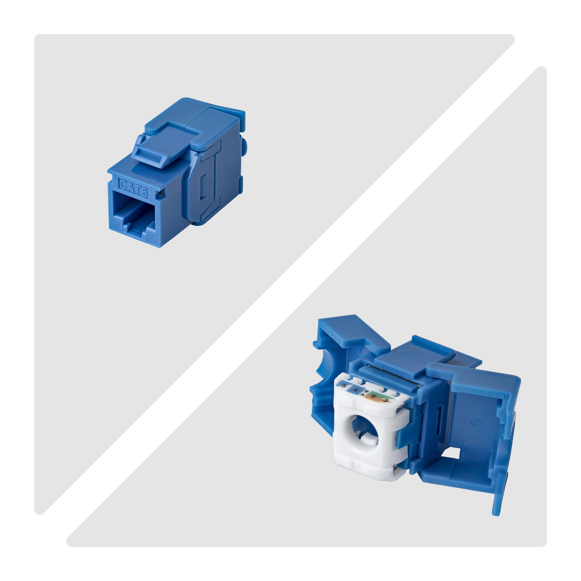 CAT6 KEYSTONE JACK 24-PACK 24-PACK180-DEGREE TOOLLESS BLUE