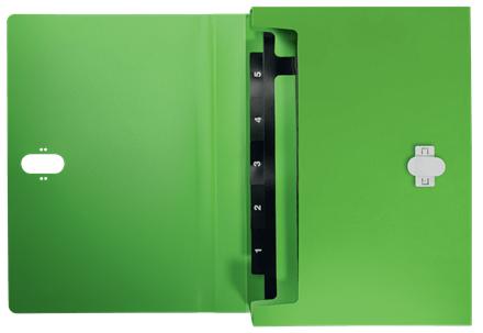LEITZ Fächermappe recycle 4624 5 Fächer grün, 1 St.