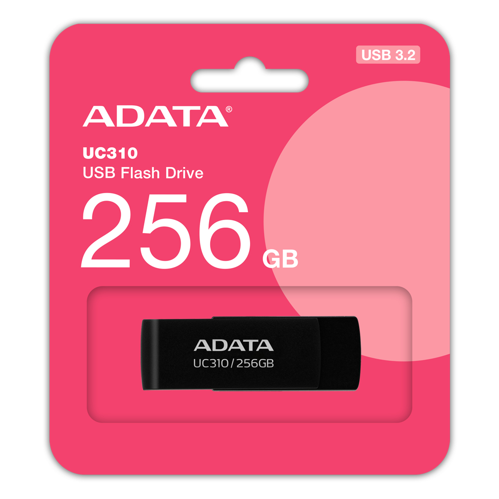 UC310 256 GB, USB-Stick