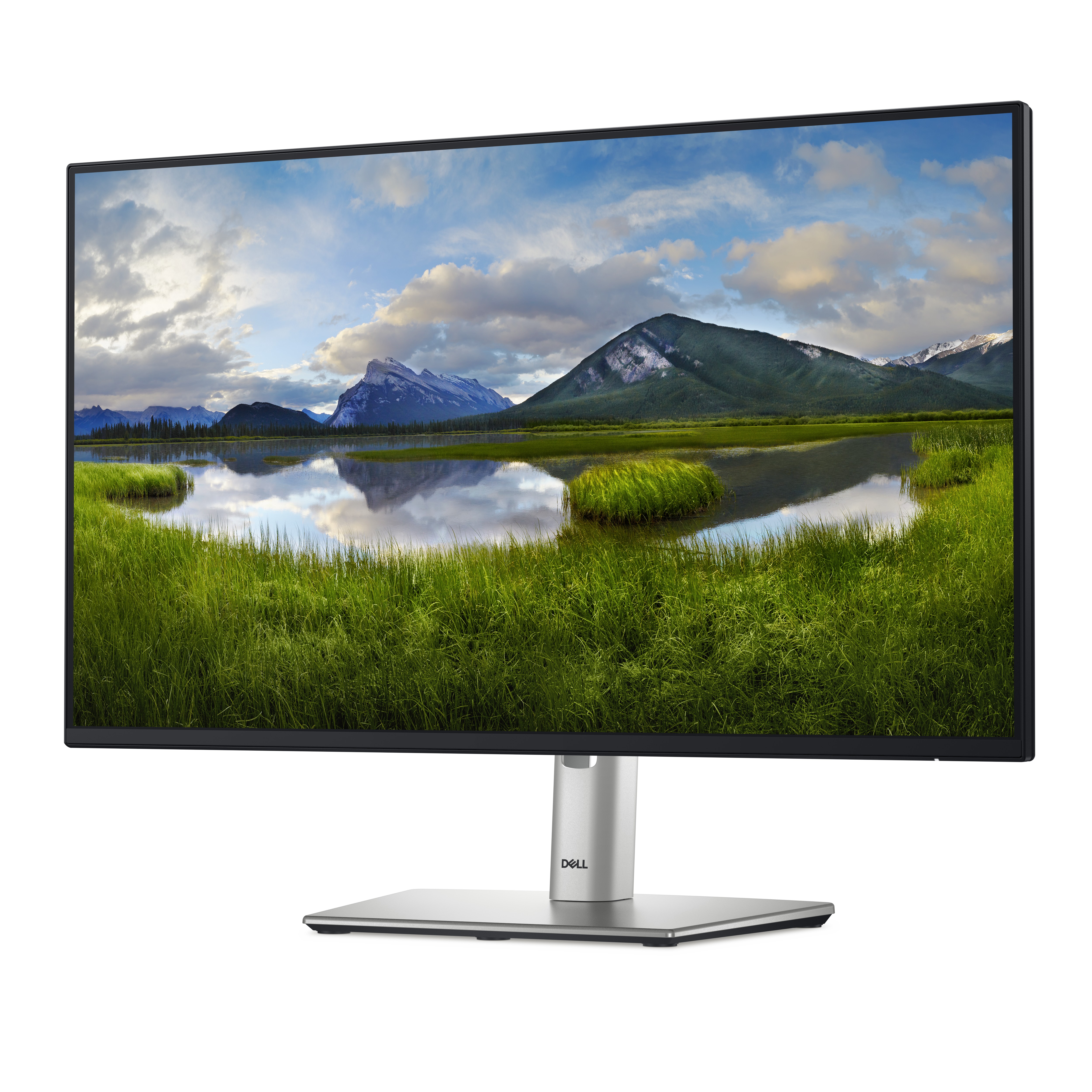 DELL 24 Monitor P2425H 60,45cm 23,8Zoll IPS 1920x1080 16:9 250cd/m2 100Hz HDMI DP VGA USB3.2