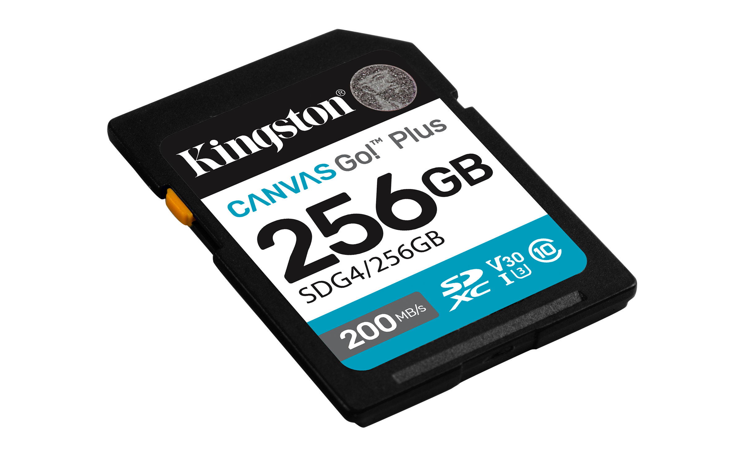 Canvas Go! Plus 256GB SDXC, Speicherkarte