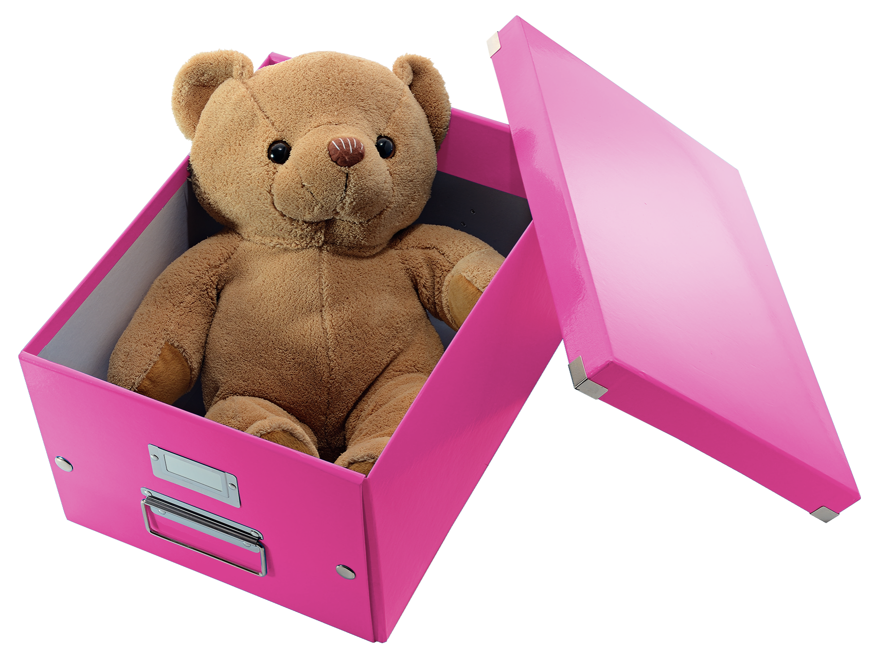 LEITZ Click & Store Aufbewahrungsbox 16,7 l pink 28,1 x 36,9 x 20,0 cm, 1 St.