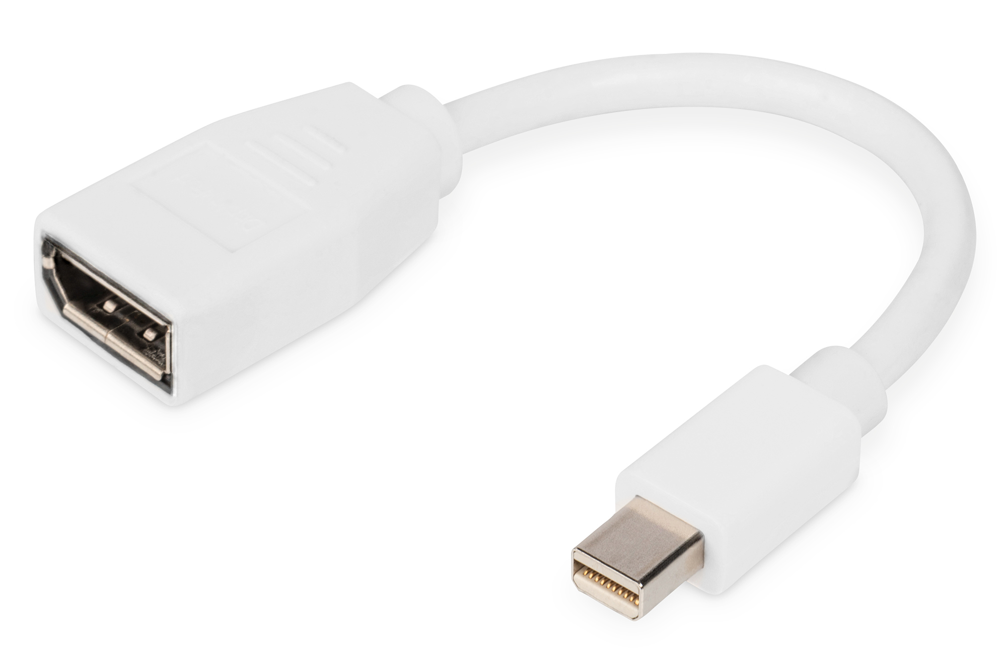 DisplayPort Adapterkabel