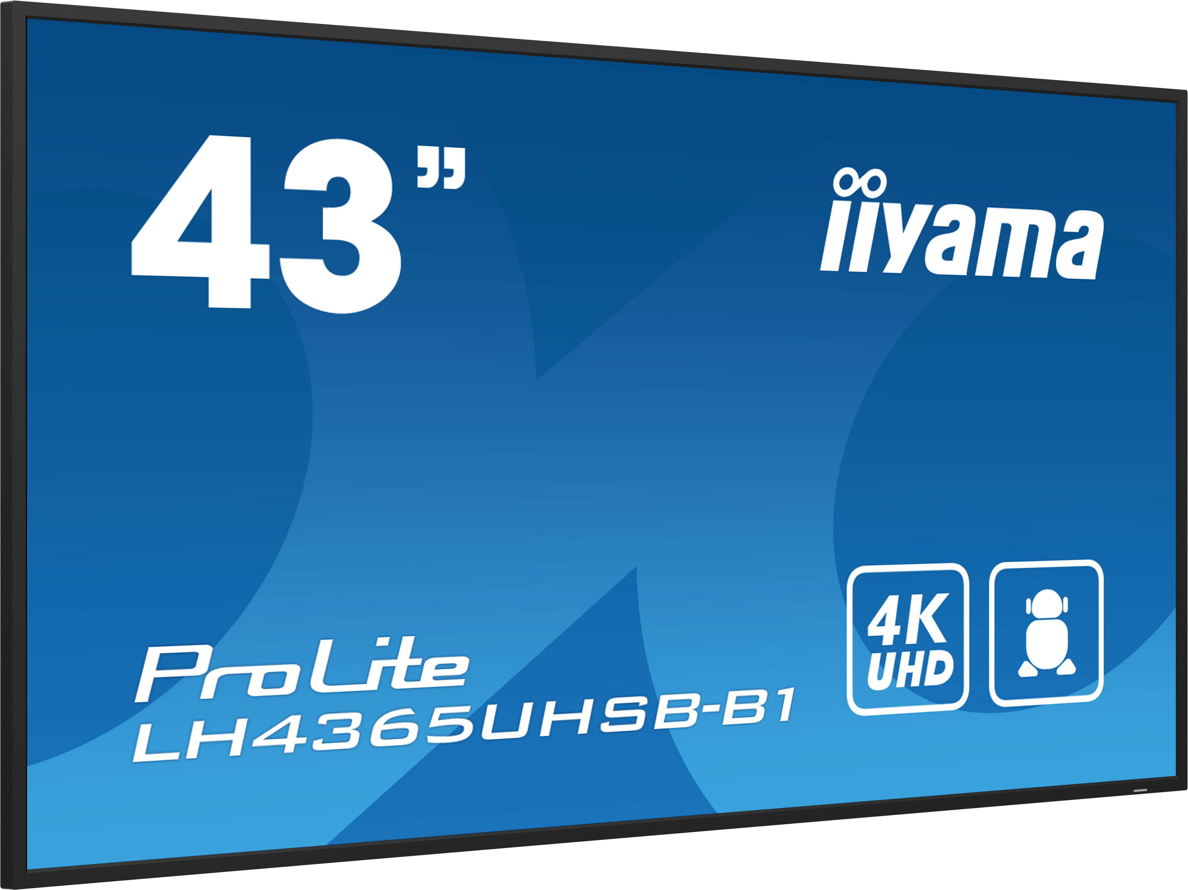 LH4365UHSB-B1 43IN LCD UHD 43 3840X2160 UHD IPS PANEL HAZE