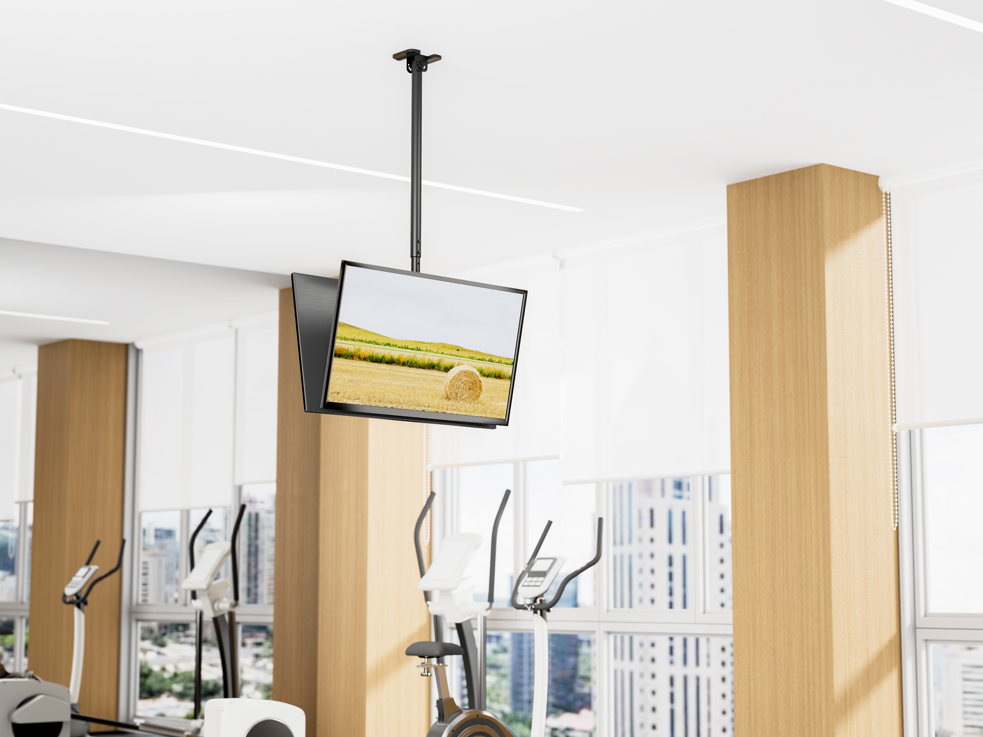 Equip Deckenhalterung 43-86/2TFT 50Kg Rücken->Rücken sw lite Retail