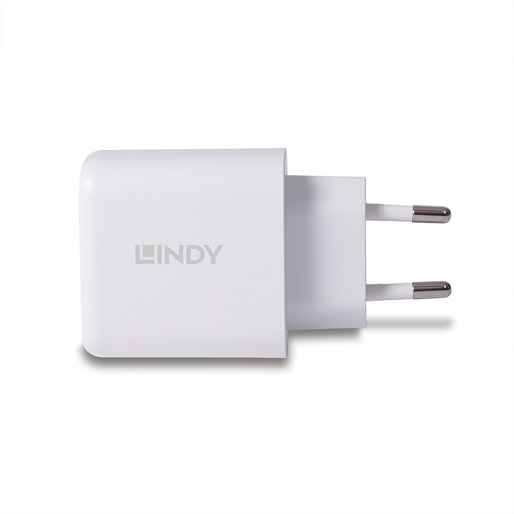 LINDY 65W USB Type C GaN Charger mit EU-Stecker