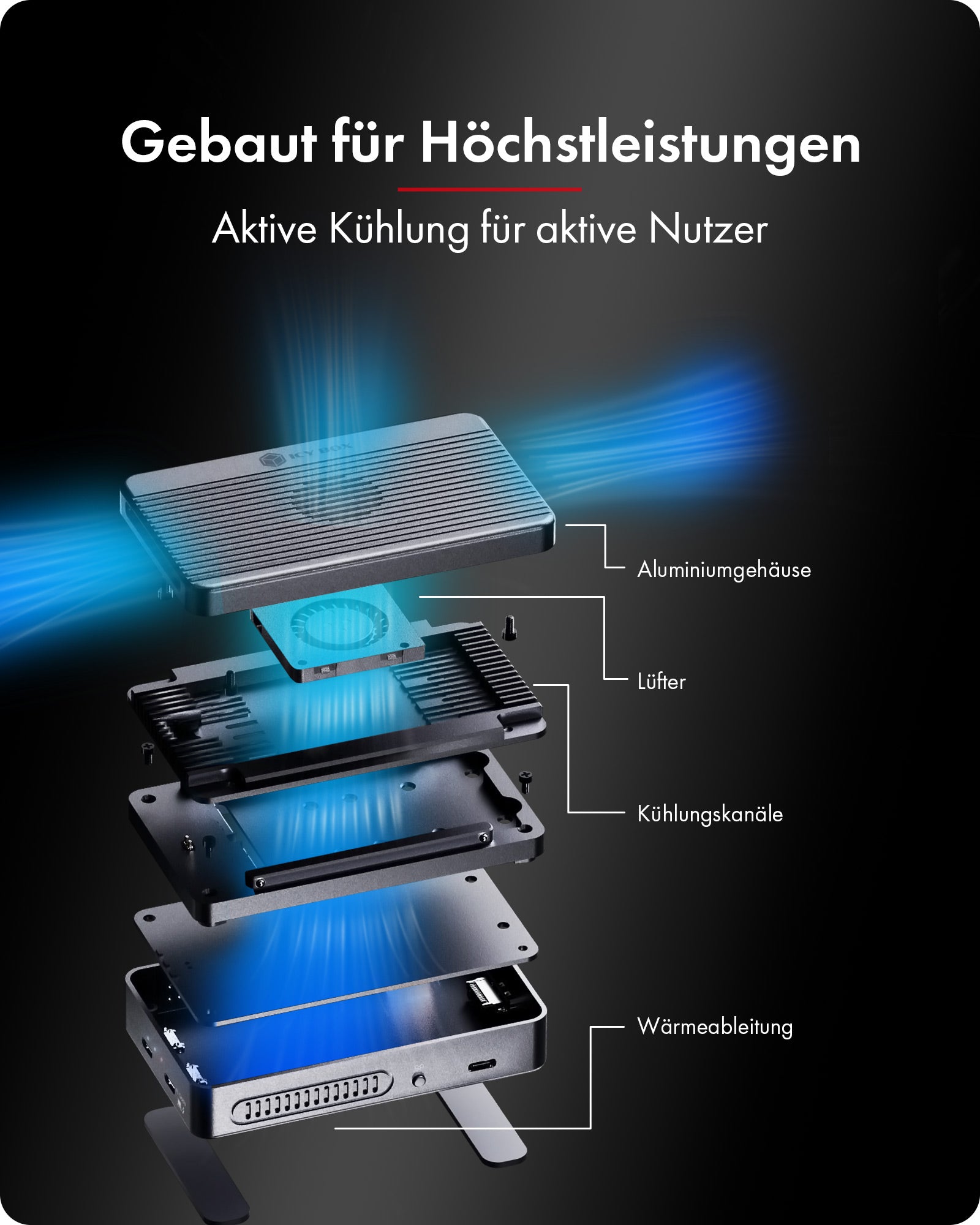RAID & Dockingstation IcyBox Heart Raid 2818 2x M.2 NVMe SSD