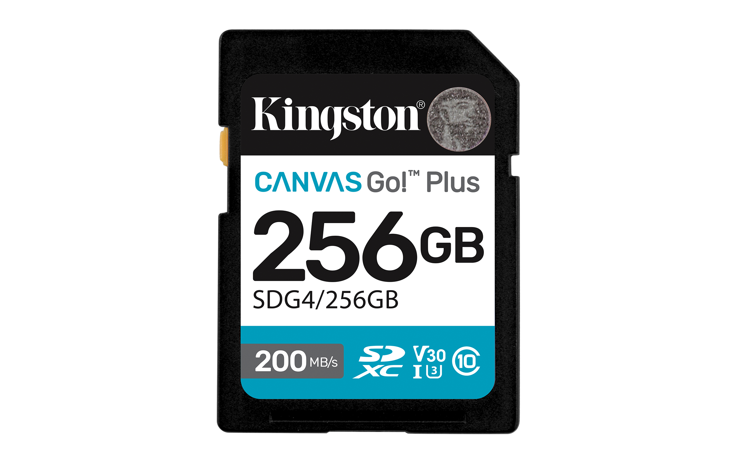 Canvas Go! Plus 256GB SDXC, Speicherkarte
