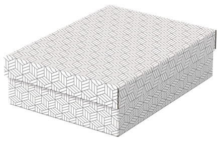 Esselte Home Aufbewahrungsboxen 8,0 l weiß 26,5 x 36,0 x 10,0 cm, 3 St.