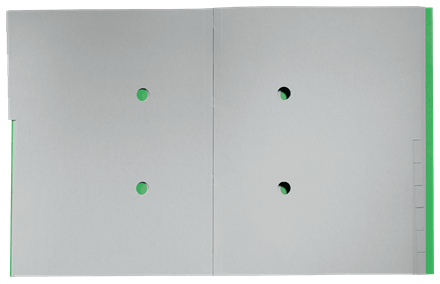 LEITZ Ordnungsmappe recycle 3915 12 Fächer grün, 1 St.