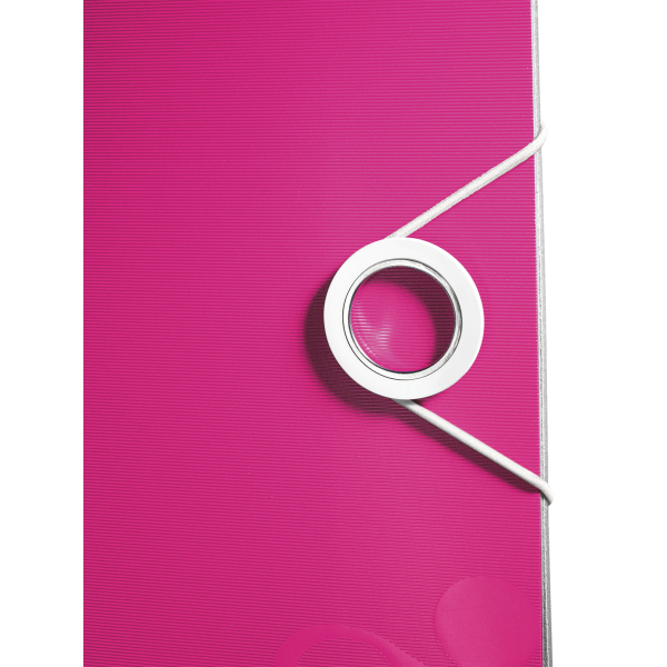 LEITZ Active WOW 1107 Ordner pink Kunststoff 6,5 cm DIN A4, 1 St.