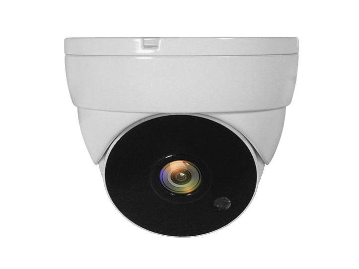 LevelOne CCTV Dome Kamera 4-in-1 FHD/IP67/IR-30m weiß