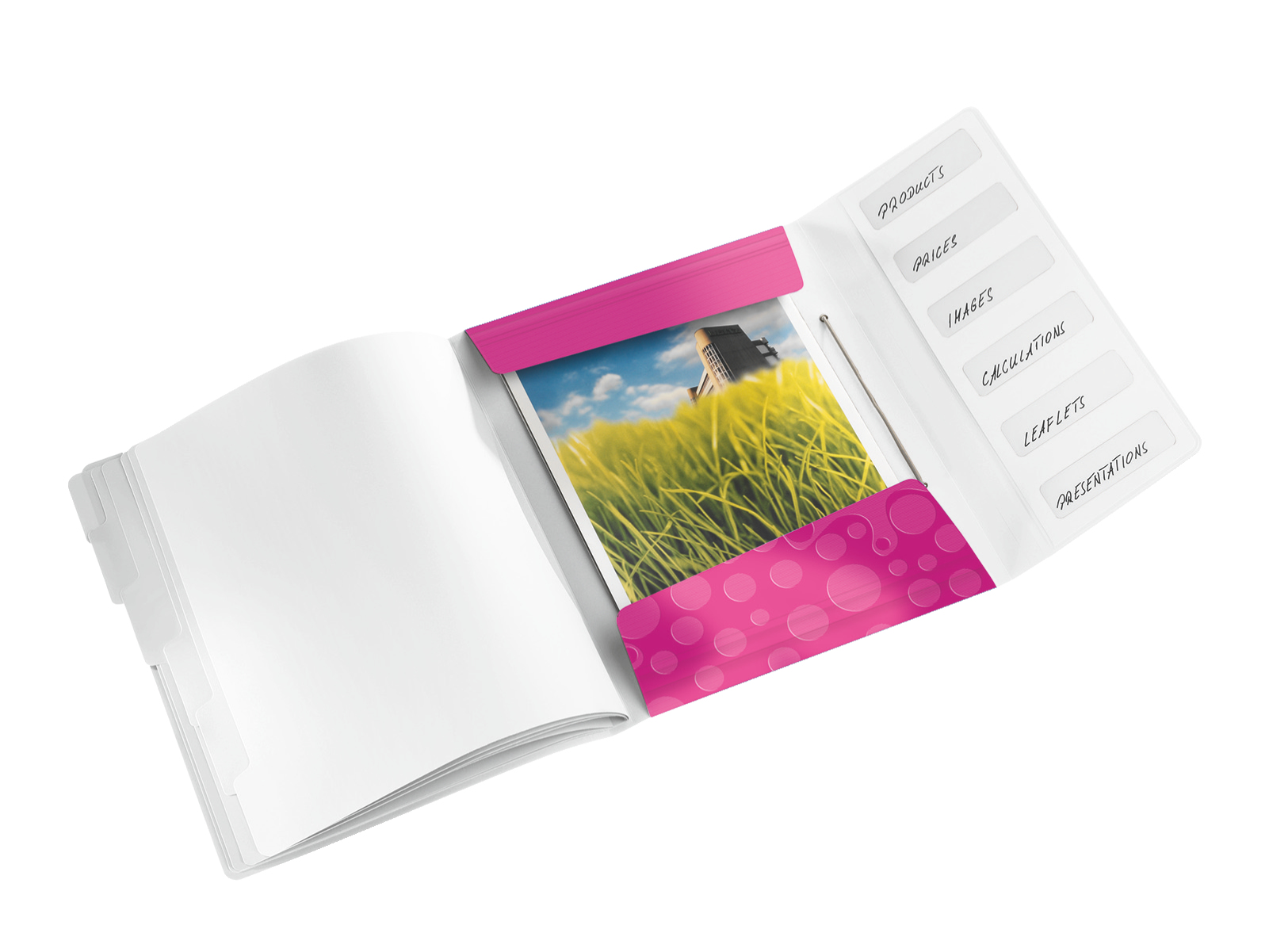 LEITZ Ordnungsmappe WOW 4633 6 Fächer pink, 1 St.