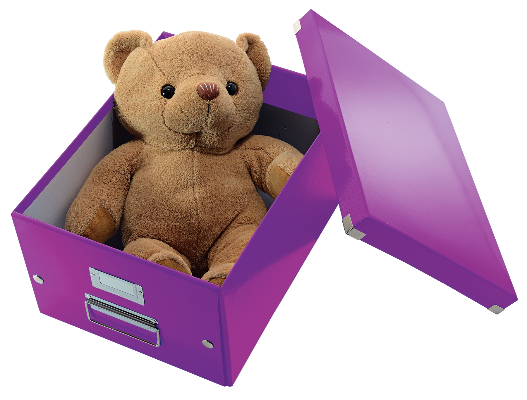 LEITZ Click & Store Aufbewahrungsbox 16,7 l violett 28,1 x 36,9 x 20,0 cm, 1 St.