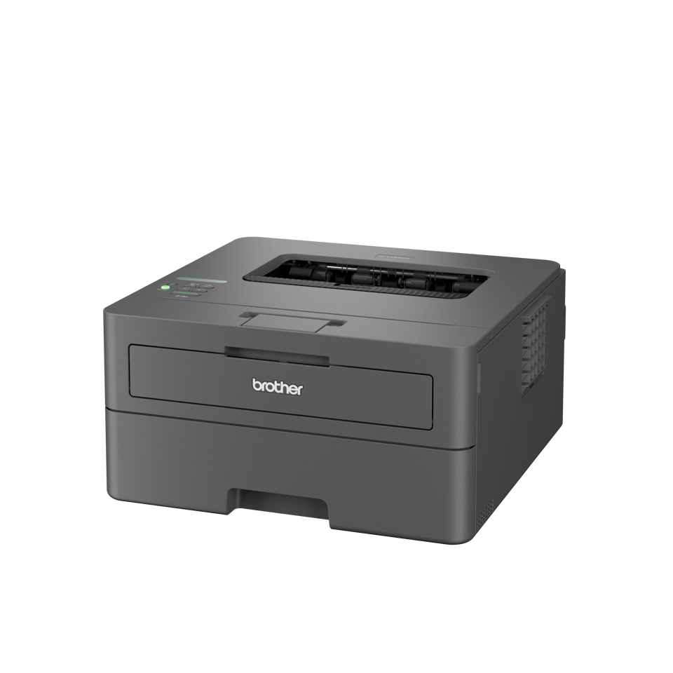 Brother HL-L2400DWE sw-Laser
