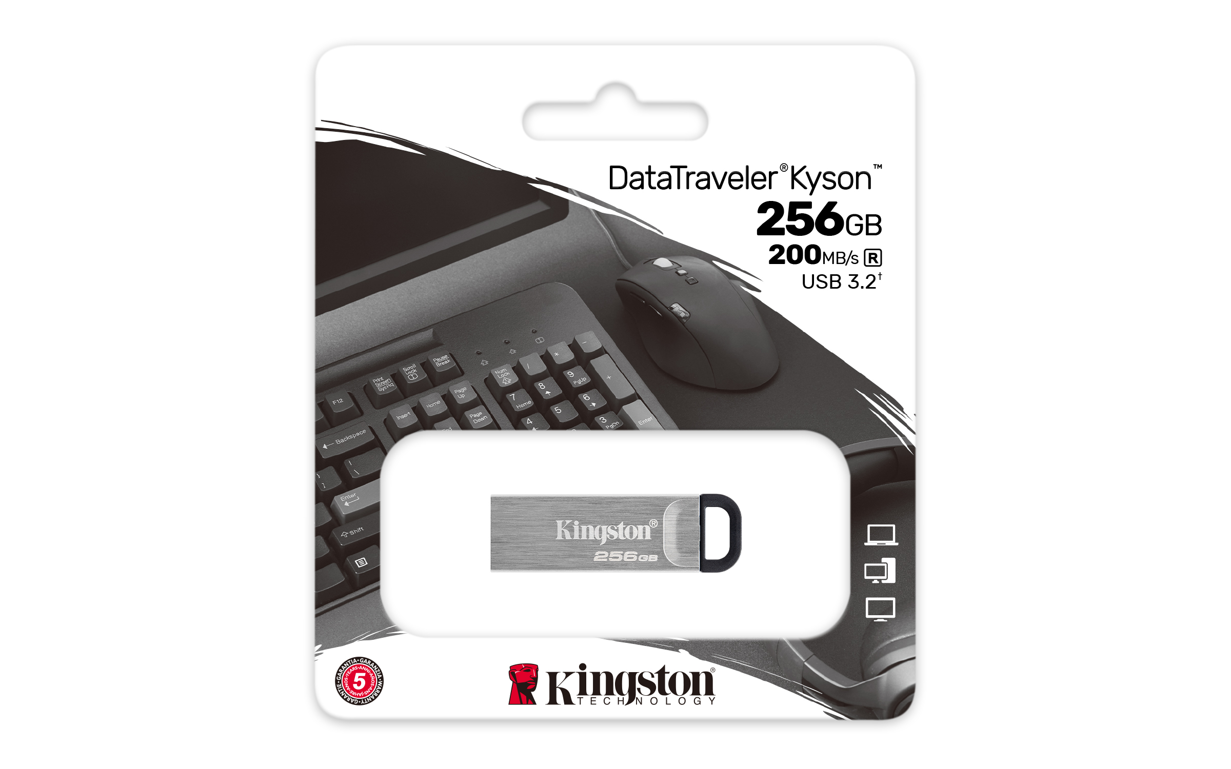 KINGSTON 256GB USB3.2 DataTraveler Gen1 Kyson