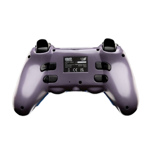 LEXIP - MADARA CONTROLLER DESIGN
