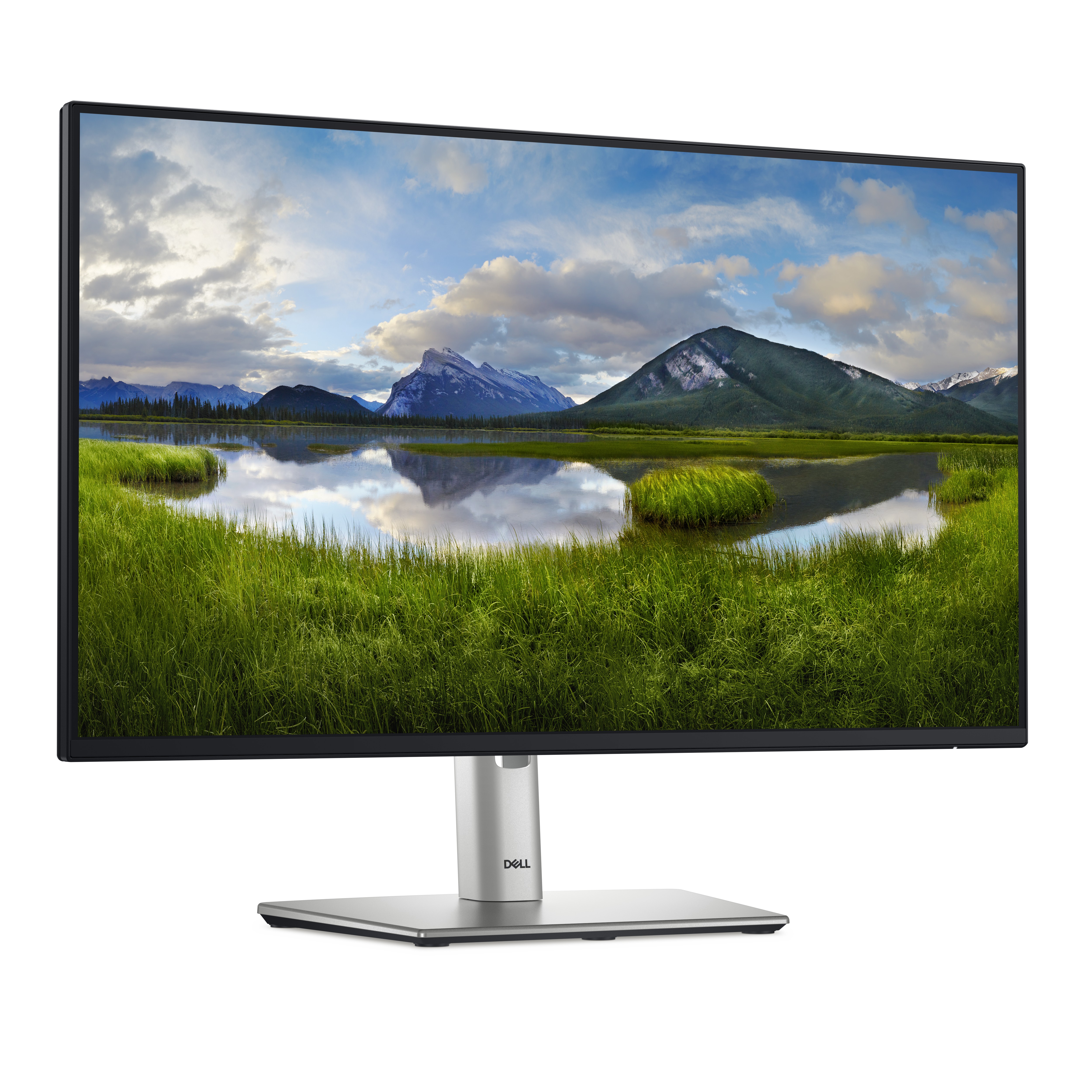 DELL 24 Monitor P2425H 60,45cm 23,8Zoll IPS 1920x1080 16:9 250cd/m2 100Hz HDMI DP VGA USB3.2