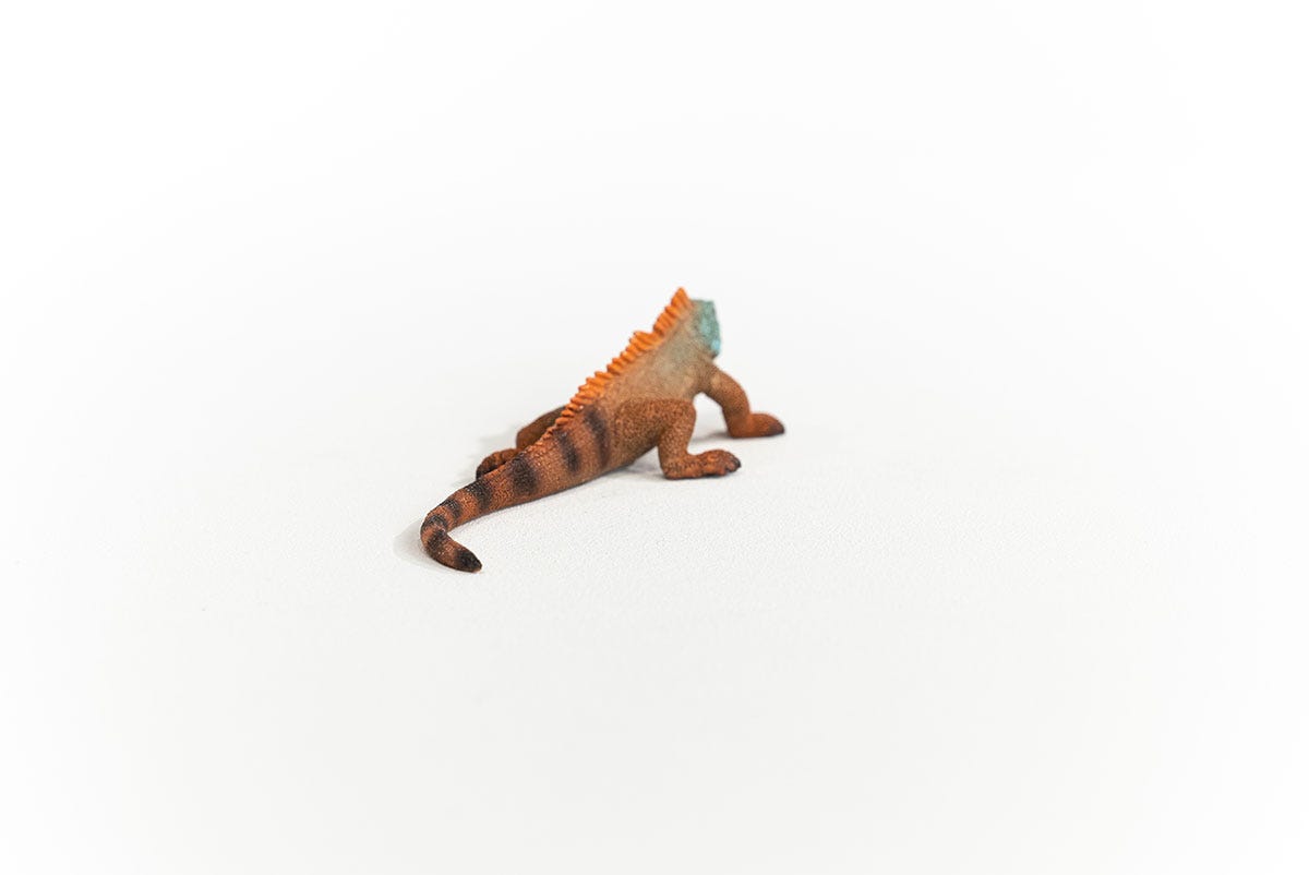 Wild Life Leguan, Spielfigur
