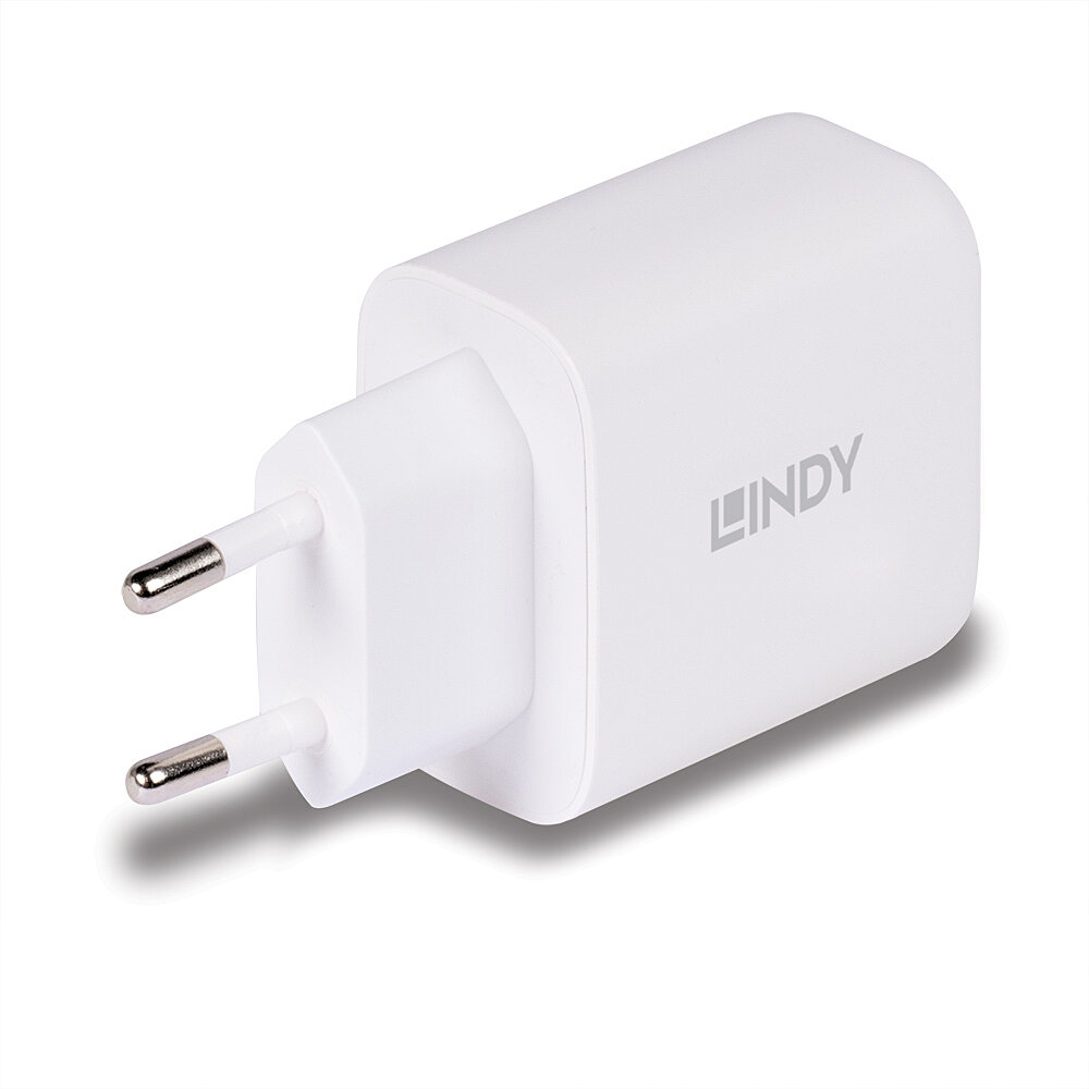 LINDY 65W USB Type C GaN Charger mit EU-Stecker