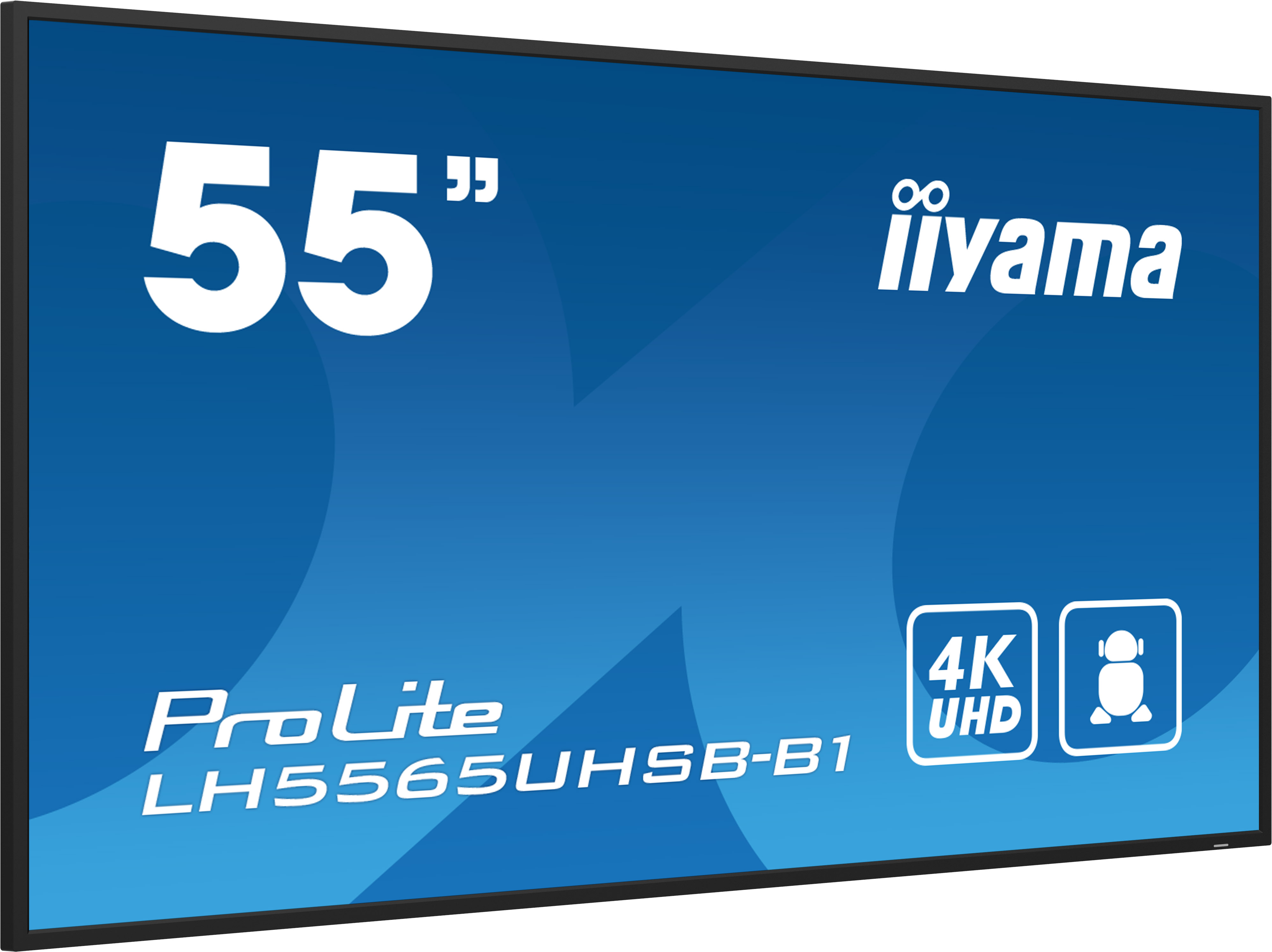 LH5565UHSB-B1 55IN LCD UHD 55 3840X2160 UHD IPS PANEL HAZE