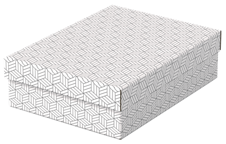 Esselte Home Aufbewahrungsboxen 8,0 l weiß 26,5 x 36,0 x 10,0 cm, 3 St.