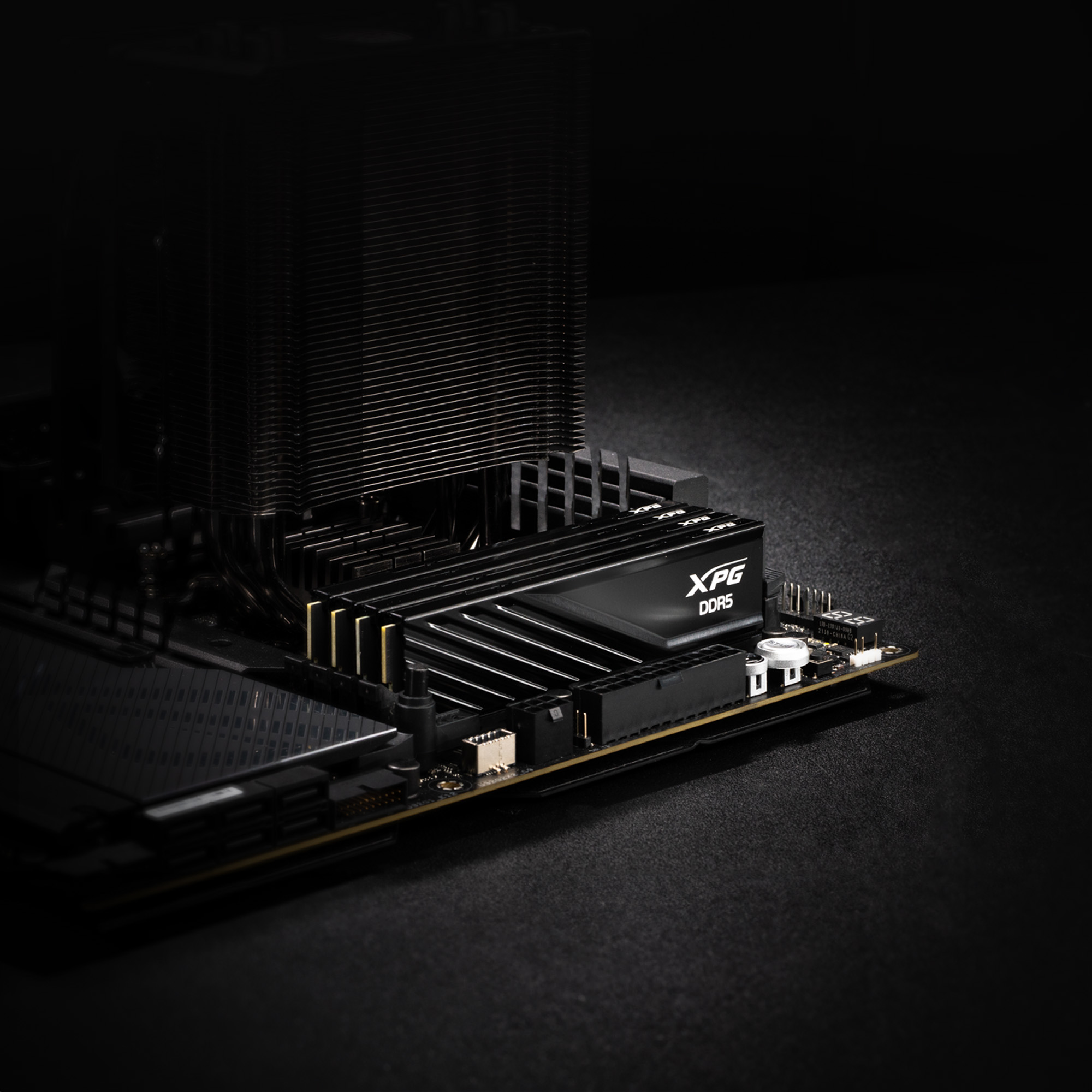 DIMM 32 GB DDR5-6000 (2x 16 GB) Dual-Kit, Arbeitsspeicher