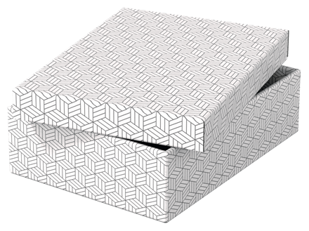 Esselte Home Aufbewahrungsboxen 8,0 l weiß 26,5 x 36,0 x 10,0 cm, 3 St.