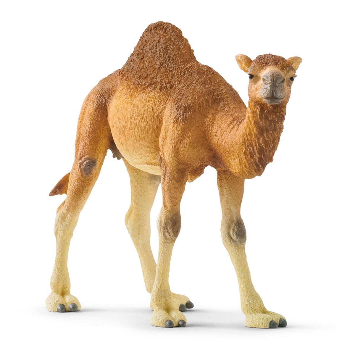 Wild Life Dromedar, Spielfigur