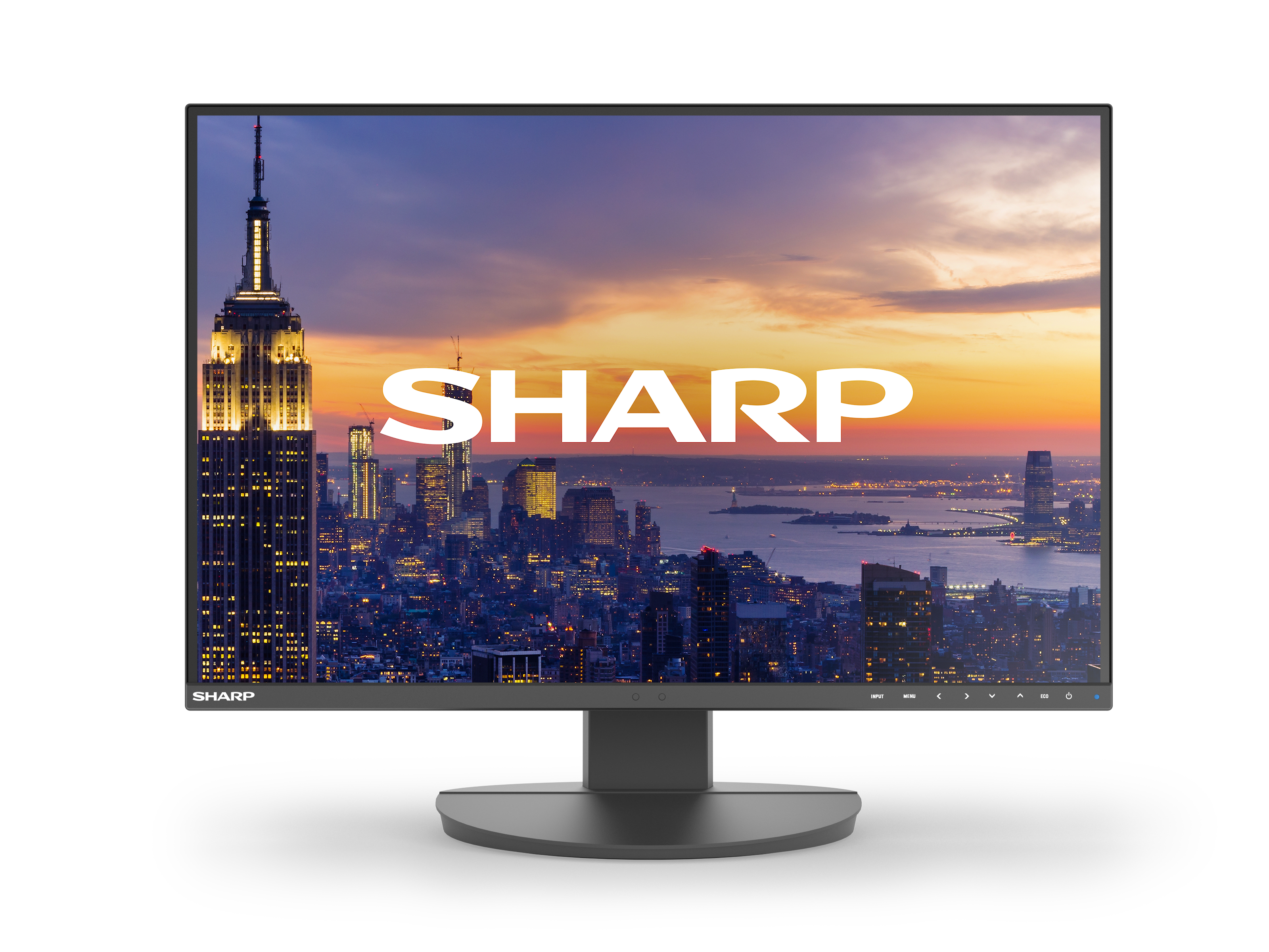 DD-EA242W BLACK 24IN IPS 1920X1200 16:10 300CD