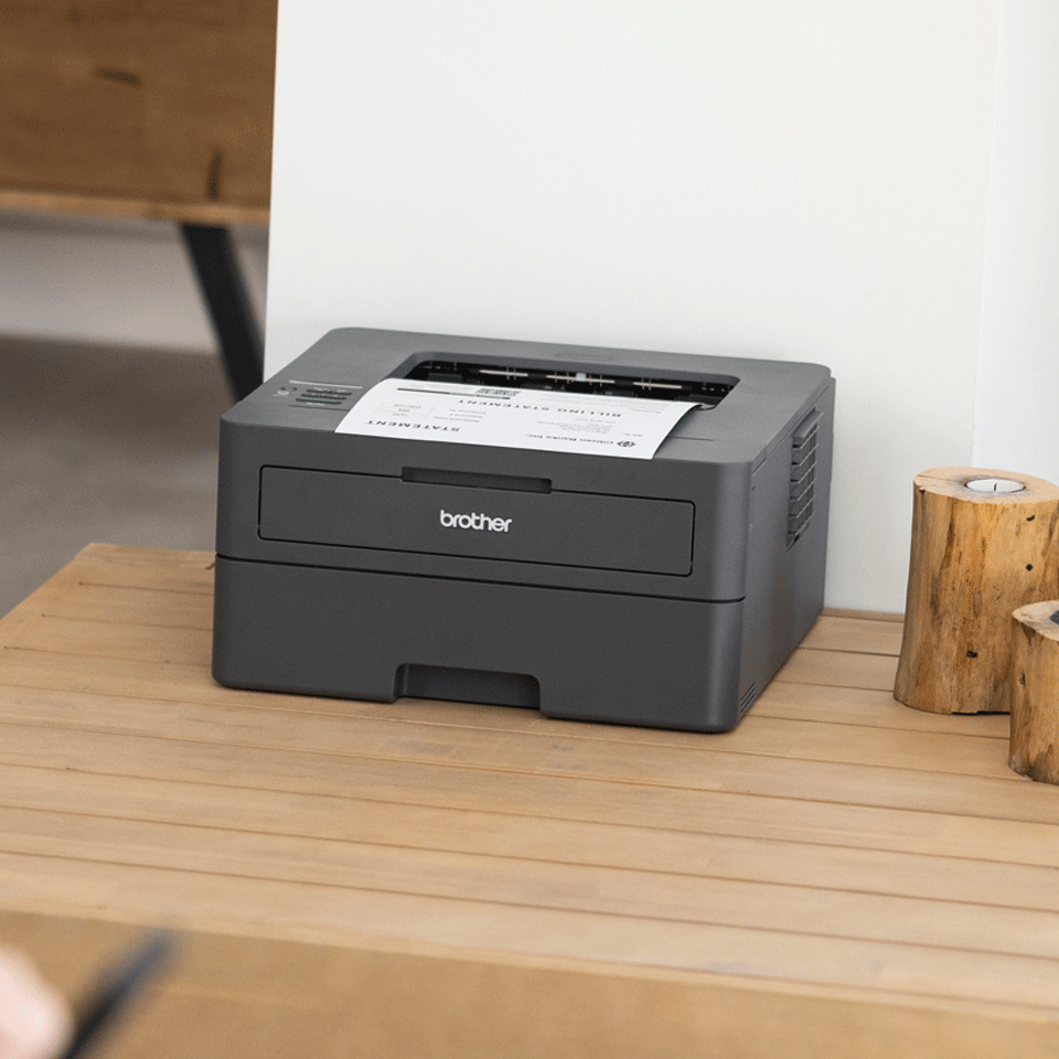 Brother HL-L2400DWE sw-Laser