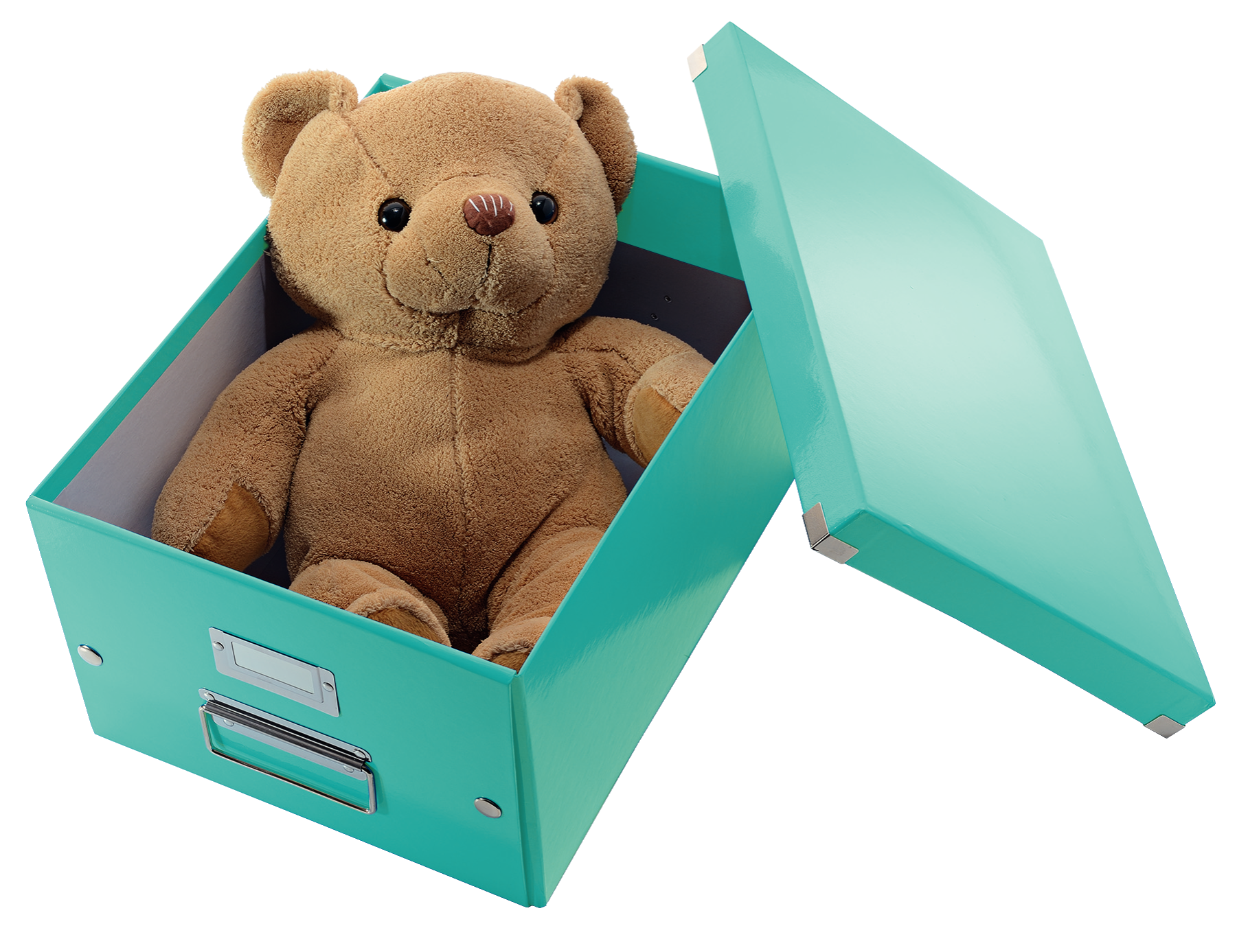 LEITZ Click & Store Aufbewahrungsbox 16,7 l eisblau 28,1 x 36,9 x 20,0 cm, 1 St.