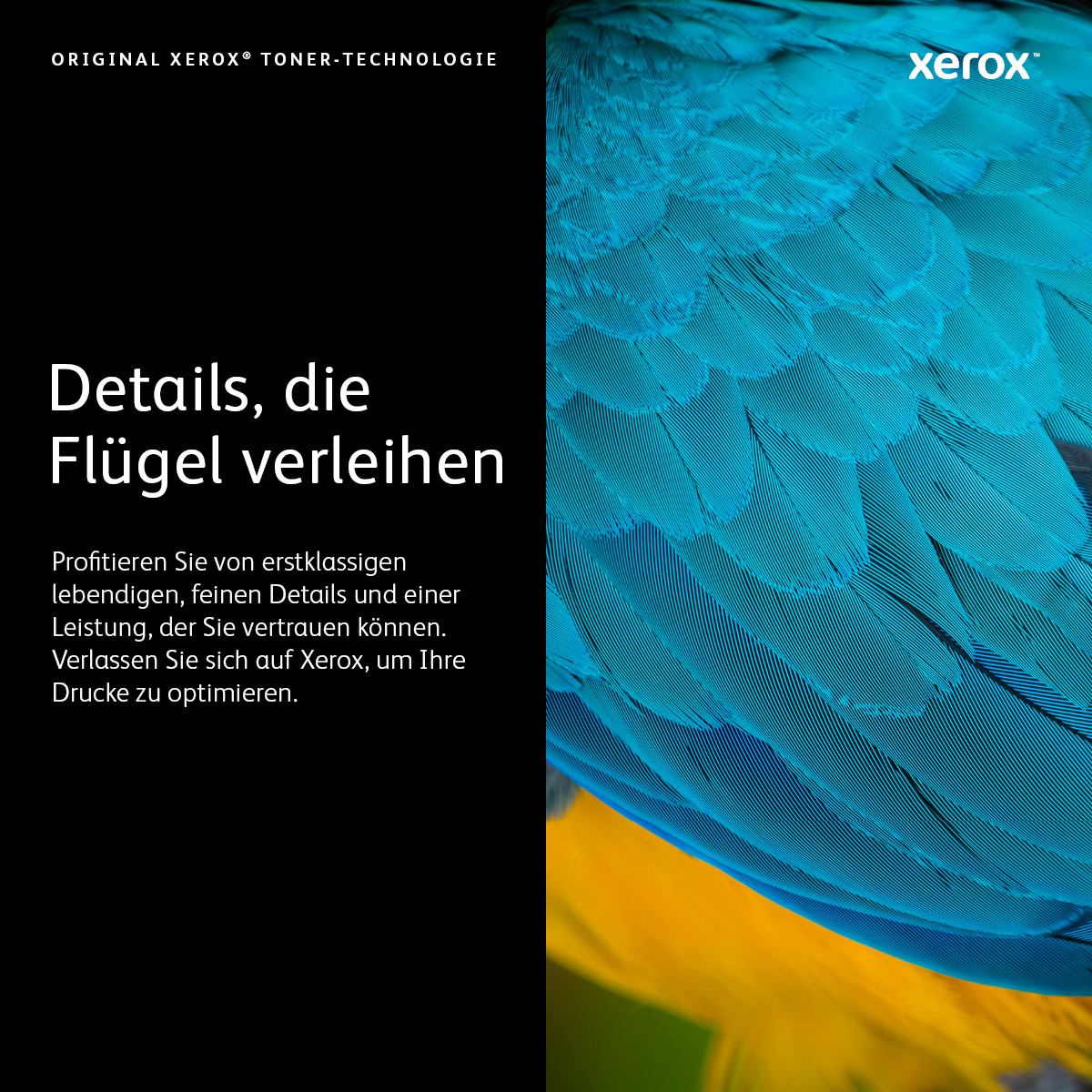 xerox 008R13326 Resttonerbehälter, 1 St.
