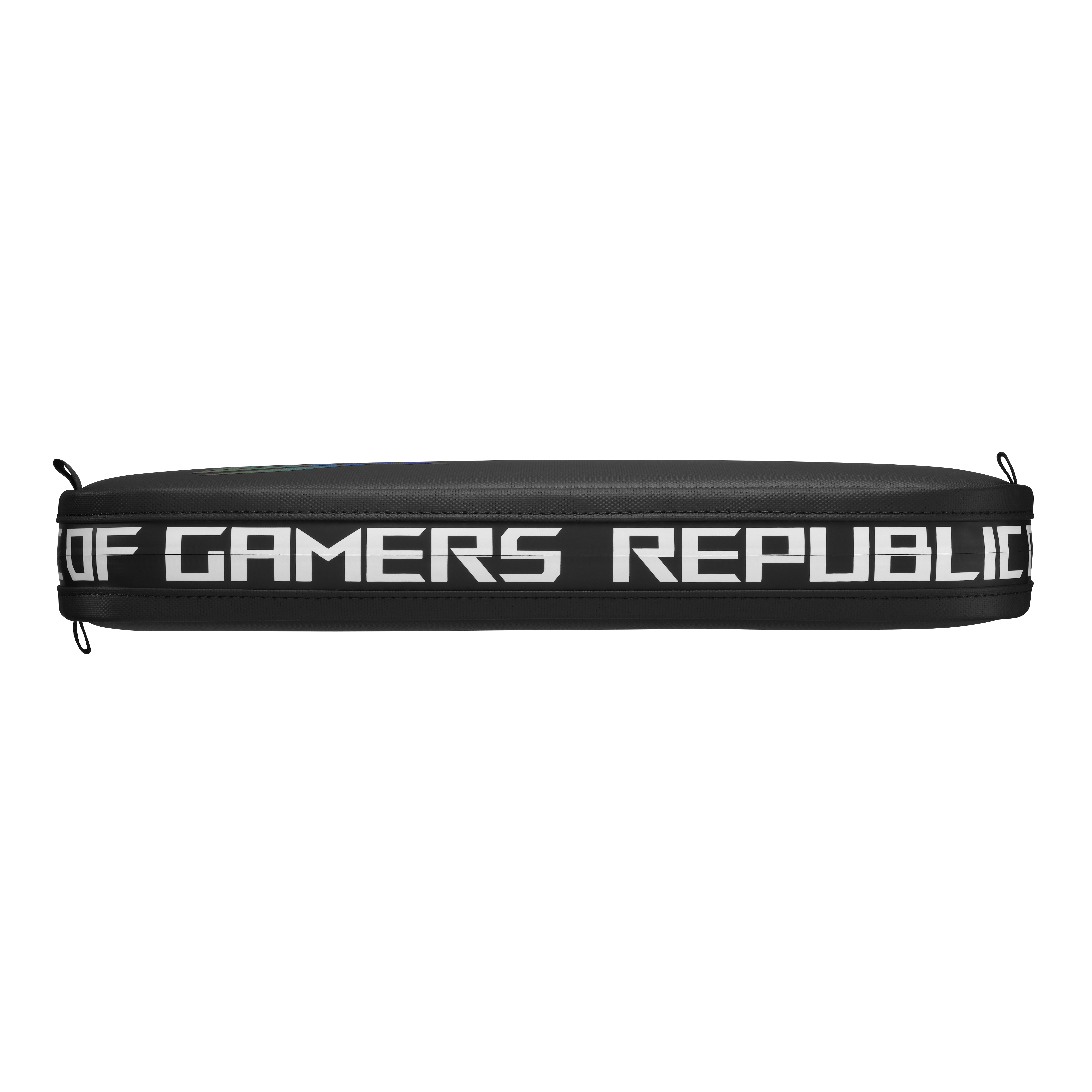 ASUS ROG Ally Travel Case Cover schwarz