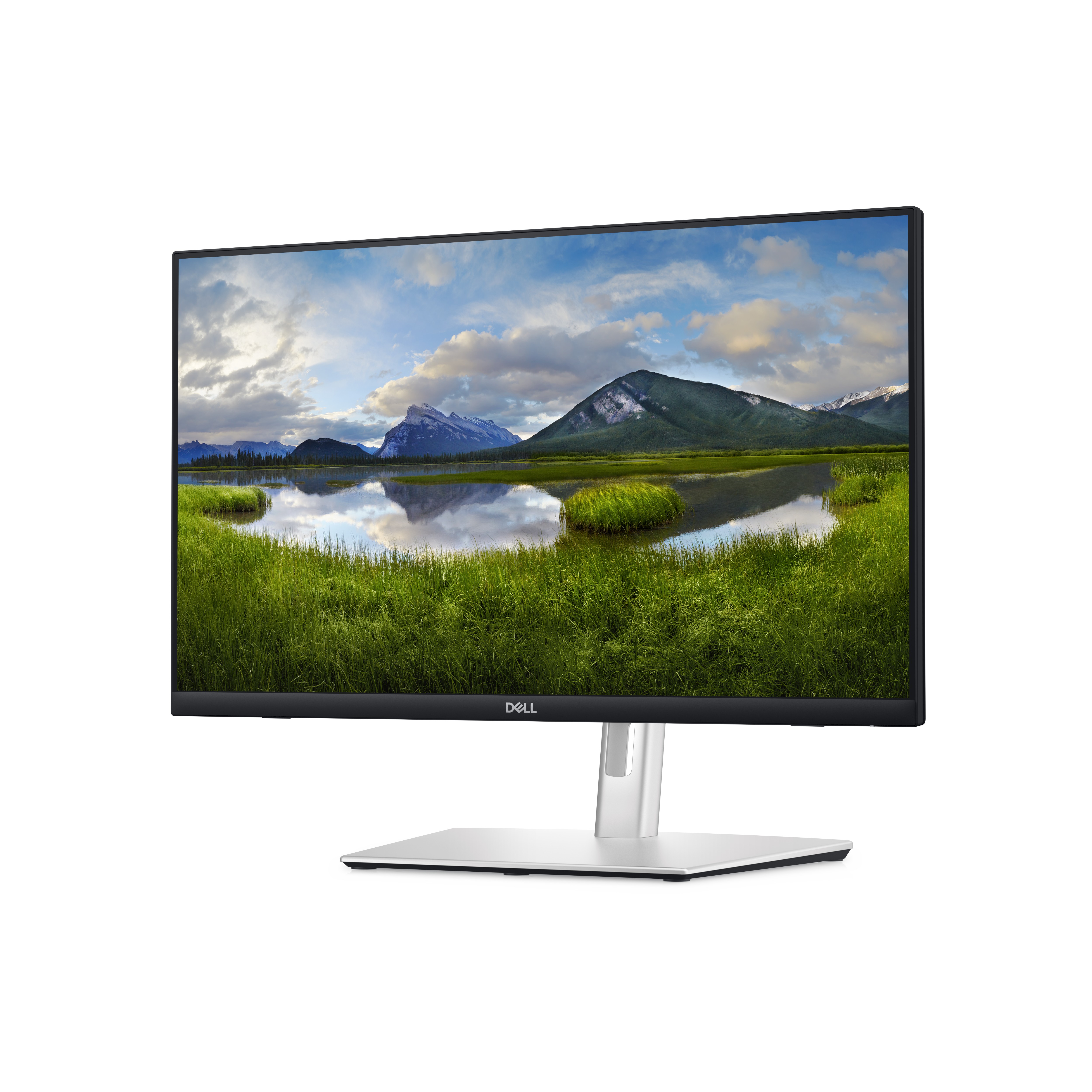 P2424HT, LED-Monitor