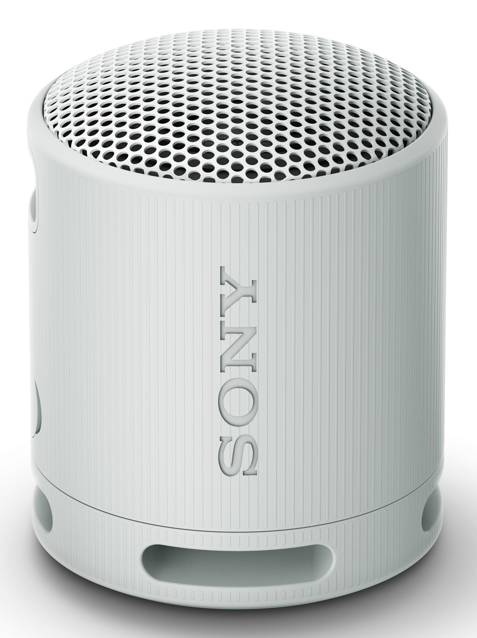 Sony SRS-XB100H BT Lautsprecher grau