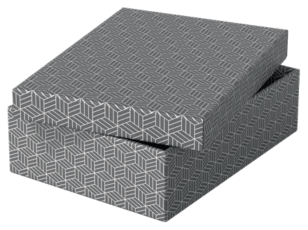 Esselte Home Aufbewahrungsboxen 8,0 l grau 26,5 x 36,0 x 10,0 cm, 3 St.