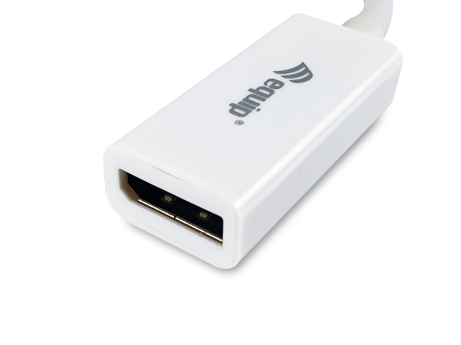 Equip Mini DisplayPort->DP 4K/ 60Hz St/Bu 0.15m ws