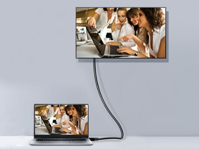 Equip DisplayPort 1.4 8K/60Hz St/St 5.00m schwarz