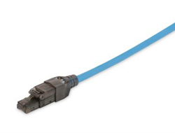 DIGITUS RJ45-Stecker Cat6a für Feldanwendungen ungeschirmt