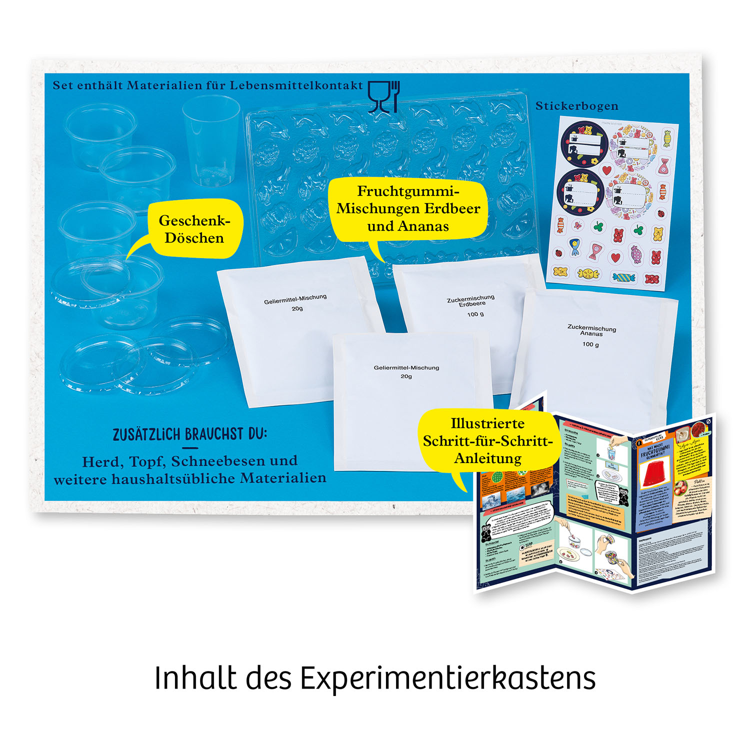 Fun Science Fruchtgummi-Labor, Experimentierkasten